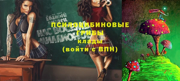 ГАЛЛЮЦИНОГЕННЫЕ ГРИБЫ Надым