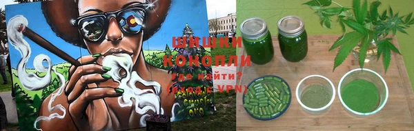 ГАЛЛЮЦИНОГЕННЫЕ ГРИБЫ Надым