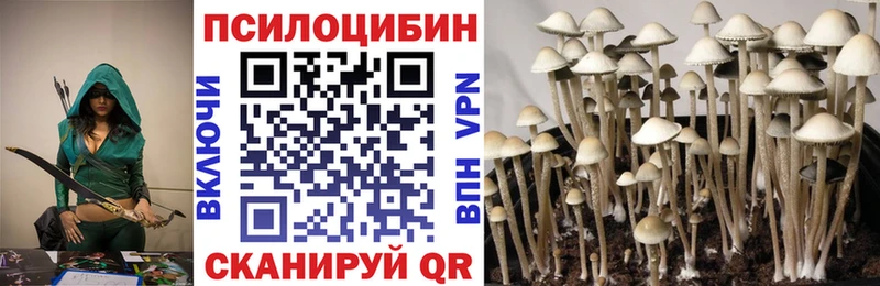 Галлюциногенные грибы Cubensis  цена наркотик  Ковдор 